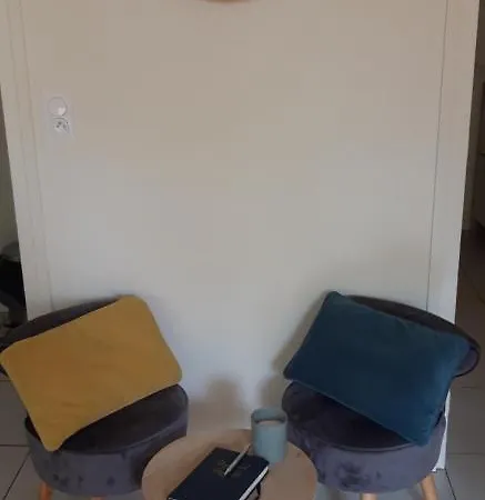 Avec Terrasse Et Jardinet En Centre * Bergerac