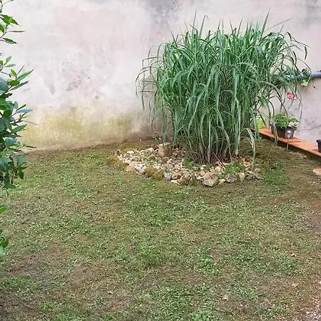 公寓 Avec Terrasse Et Jardinet En Centre 贝尔热拉克