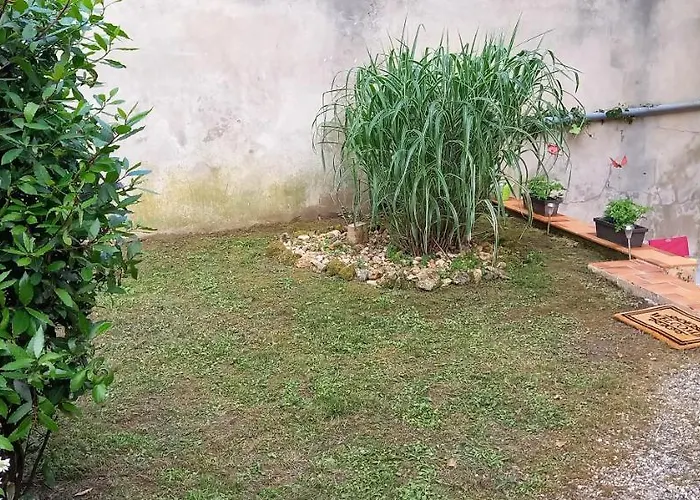 דירה Avec Terrasse Et Jardinet En Centre ברגרק